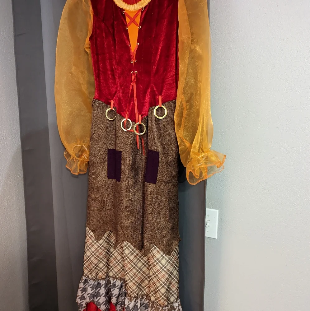 Hocus Pocus Costume - Mary Sanderson with wig! - Picture 2 of 5